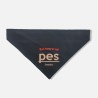PES MARAMA ZA PSE