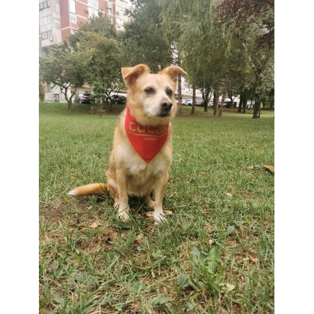 CUCAK MARAMA ZA PSE